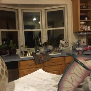 Meet your Posher, Julia